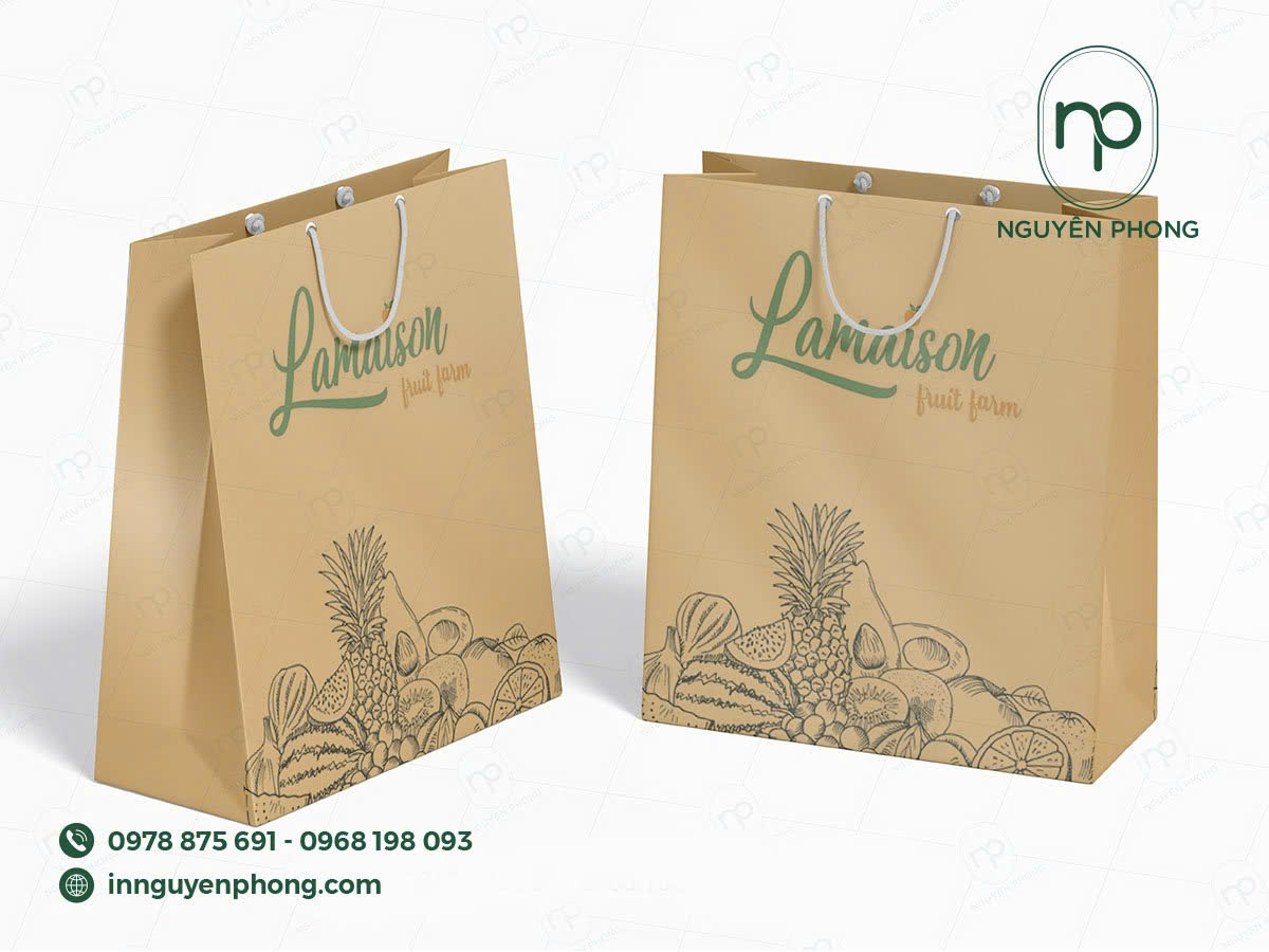 Mẫu túi giấy đựng nho khô giá rẻ 